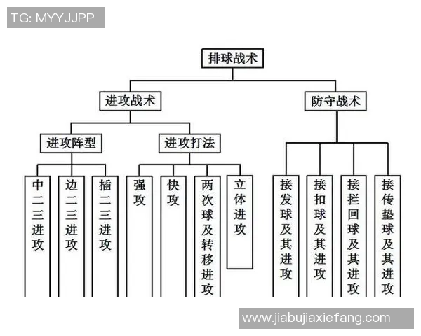 北京排球队快攻战术解析与技术特点深度剖析