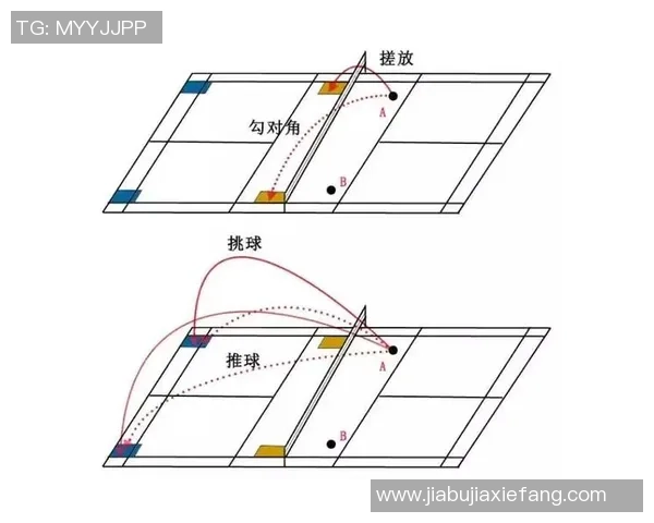南京羽毛球队与武汉羽毛球队赛后战术分析与总结探讨
