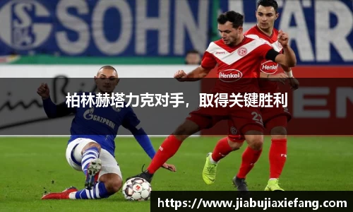 智博19