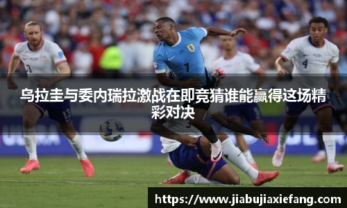 智博19