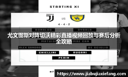 智博19有限公司