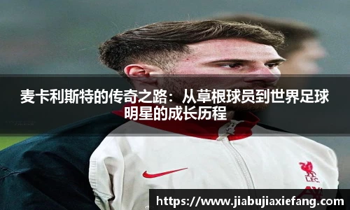 智博19